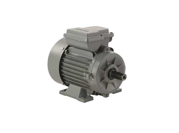 Low Voltage Motors